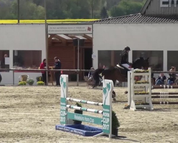 Reitturnier Xanten - Moermter 2017