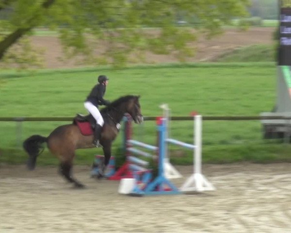 Reitturnier Xanten - Moermter 2017
