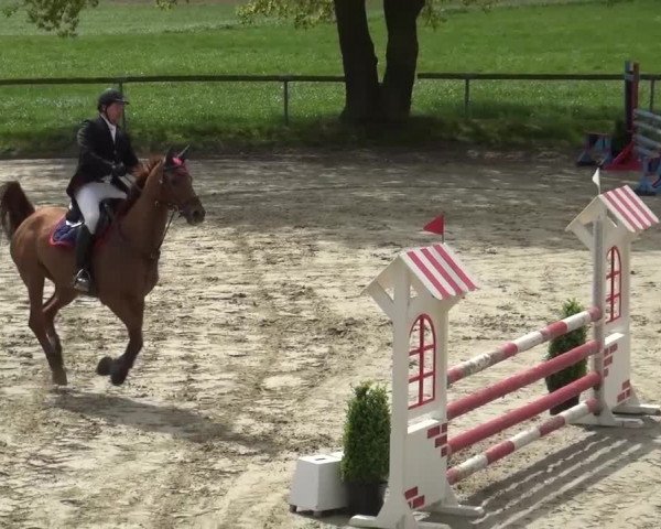 Reitturnier Xanten - Moermter 2017