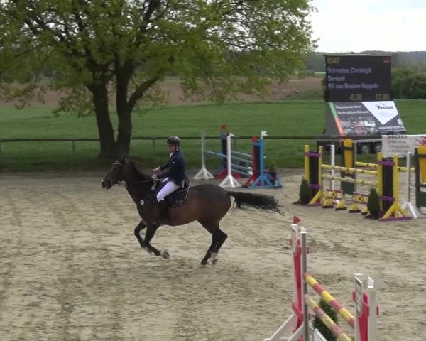 Reitturnier Xanten - Moermter 2017