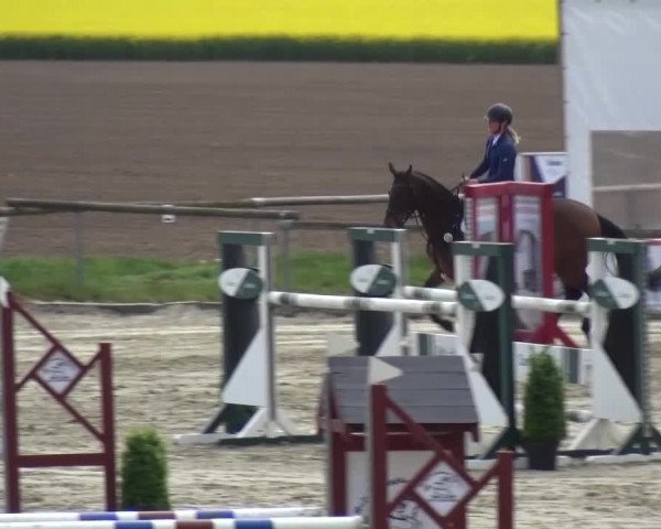 Reitturnier Xanten - Moermter 2017