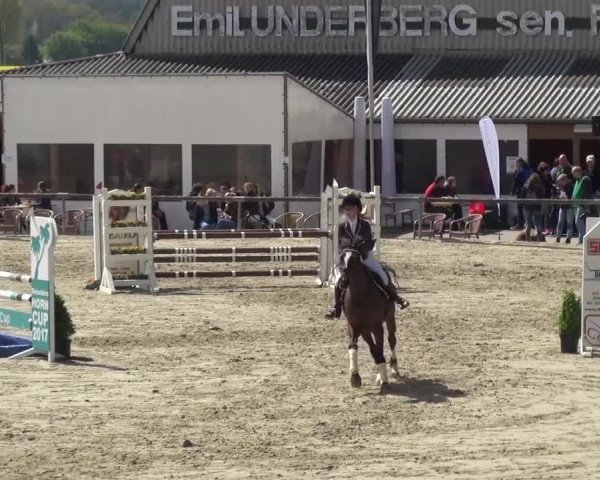 Reitturnier Xanten - Moermter 2017