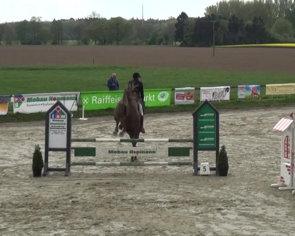 Reitturnier Xanten - Moermter 2017