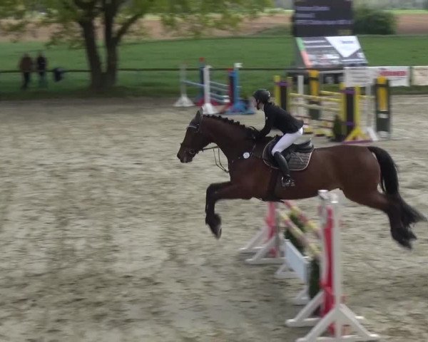 Reitturnier Xanten - Moermter 2017