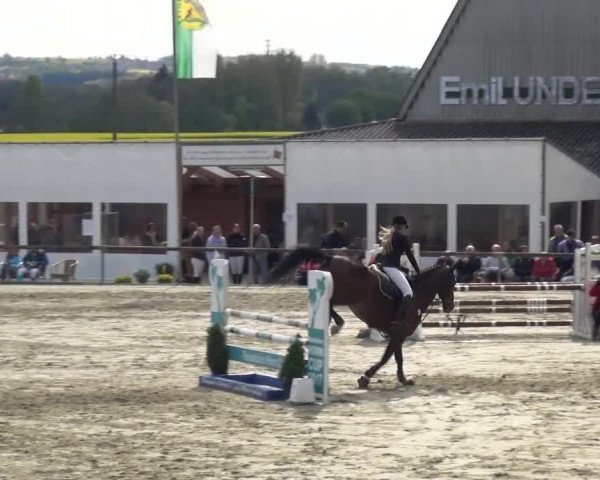 Reitturnier Xanten - Moermter 2017