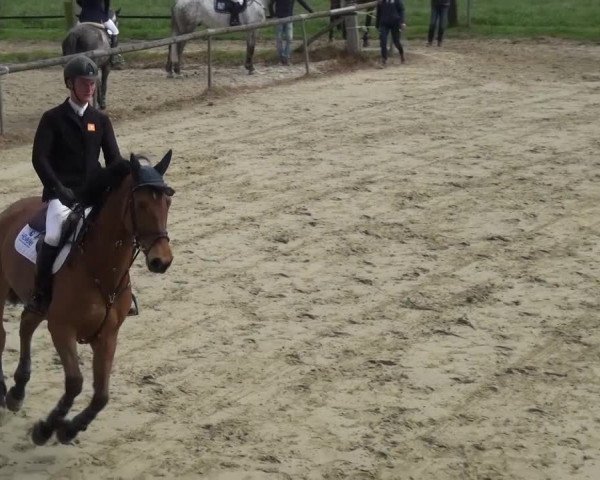 Reitturnier Xanten - Moermter 2017