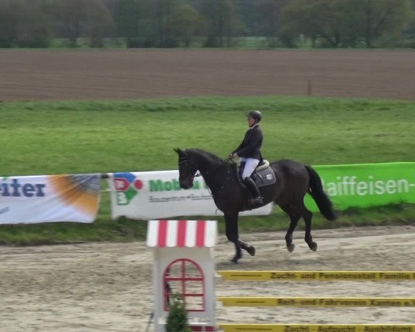 Reitturnier Xanten - Moermter 2017