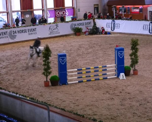 Christmas Jumping Trophy Prussendorf 2021