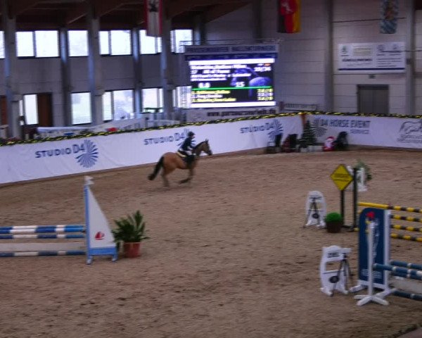 Christmas Jumping Trophy Prussendorf 2021