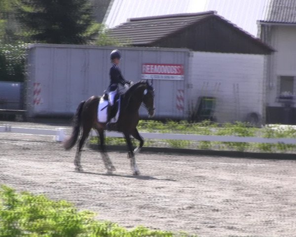 Reitturnier Olfen-Vinnum 2017