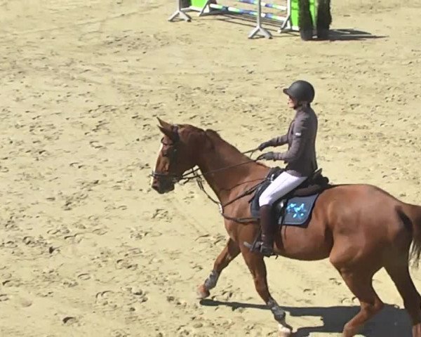 Reitturnier Leutkirch-Diepoldshofen 2017