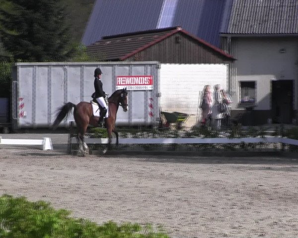 Reitturnier Olfen-Vinnum 2017