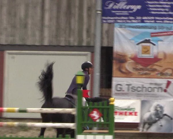 Reitturnier Havixbeck 2017