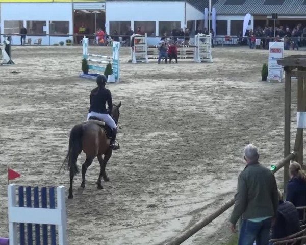 Reitturnier Xanten - Moermter 2017