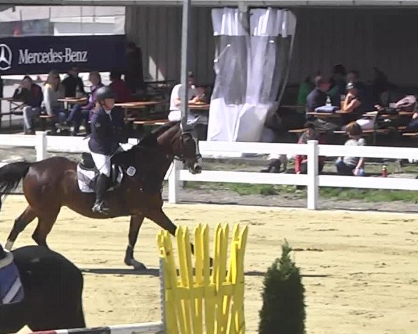 Reitturnier Leutkirch-Diepoldshofen 2017