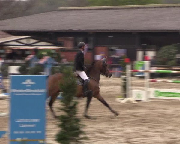 Reitturnier Havixbeck 2017