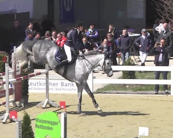 Reitturnier Leutkirch-Diepoldshofen 2017