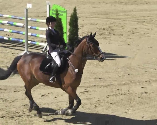 Reitturnier Leutkirch-Diepoldshofen 2017