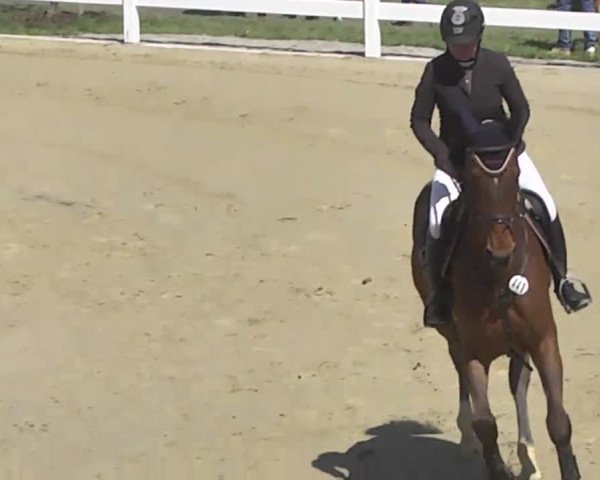 Reitturnier Leutkirch-Diepoldshofen 2017
