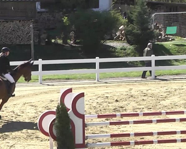 Reitturnier Leutkirch-Diepoldshofen 2017