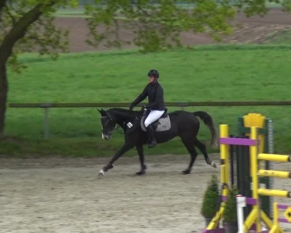 Reitturnier Xanten - Moermter 2017