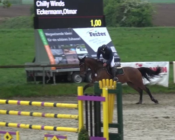 Reitturnier Xanten - Moermter 2017
