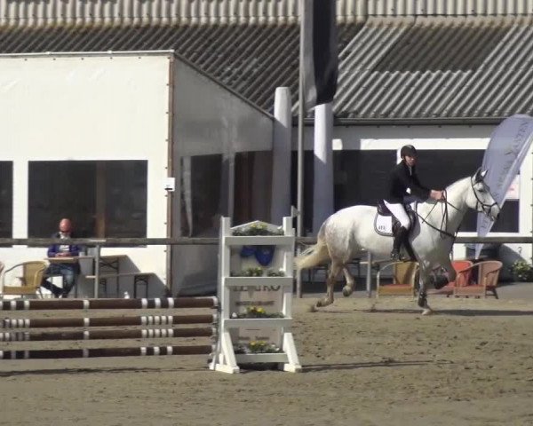 Reitturnier Xanten - Moermter 2017