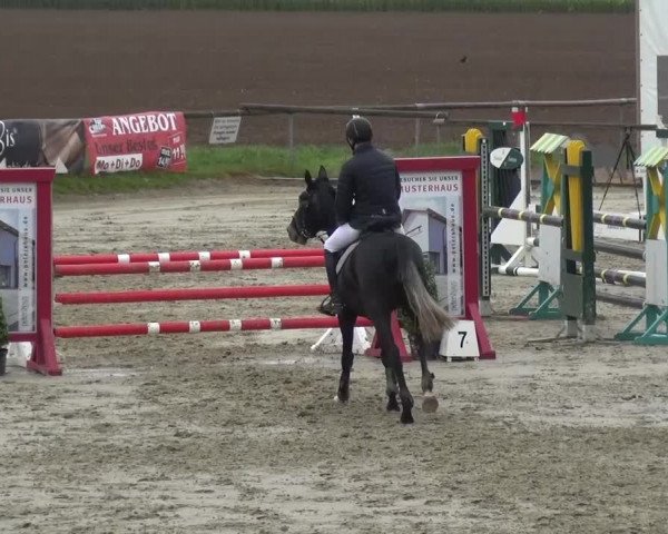 Reitturnier Xanten - Moermter 2017