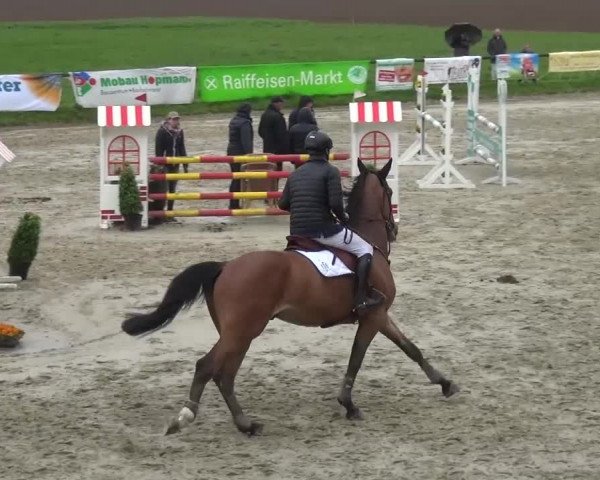 Reitturnier Xanten - Moermter 2017