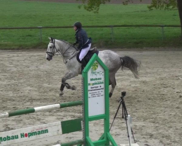 Reitturnier Xanten - Moermter 2017