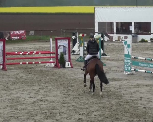 Reitturnier Xanten - Moermter 2017