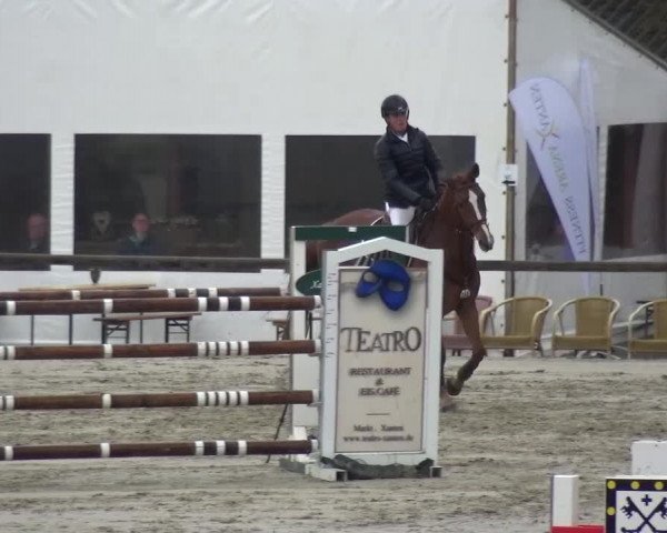 Reitturnier Xanten - Moermter 2017