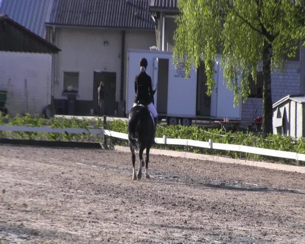 Reitturnier Olfen-Vinnum 2017