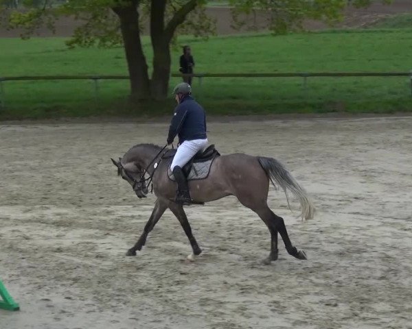 Reitturnier Xanten - Moermter 2017