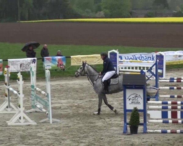 Reitturnier Xanten - Moermter 2017