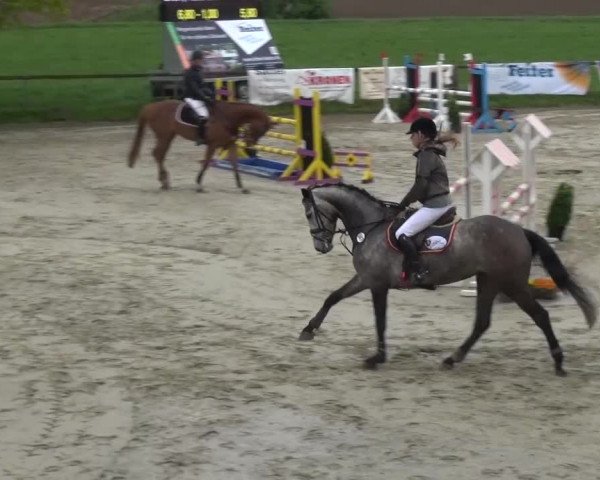 Reitturnier Xanten - Moermter 2017