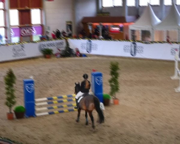 Christmas Jumping Trophy Prussendorf 2021
