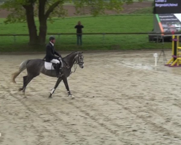 Reitturnier Xanten - Moermter 2017