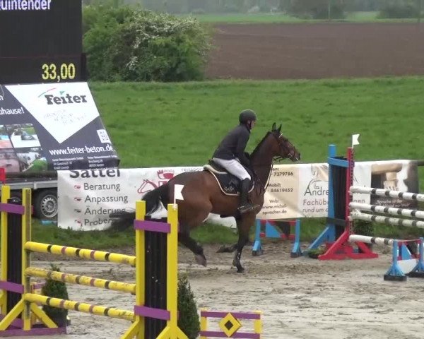 Reitturnier Xanten - Moermter 2017