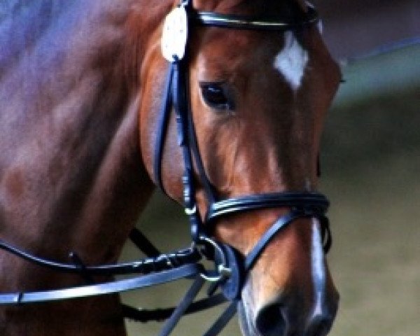 jumper Ranhia (Oldenburg, 2004, from Revan)