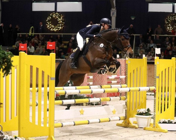 Springpferd Bella van't Hoendernest (KWPN (Niederländisches Warmblut), 2006, von Manhattan)