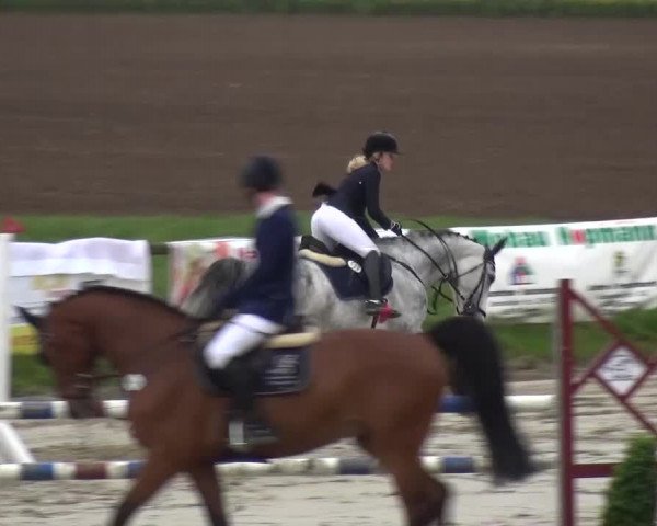 Reitturnier Xanten - Moermter 2017