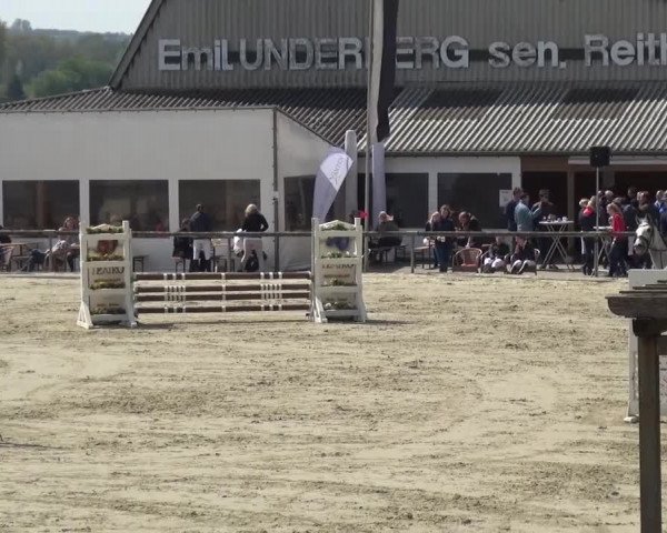 Reitturnier Xanten - Moermter 2017