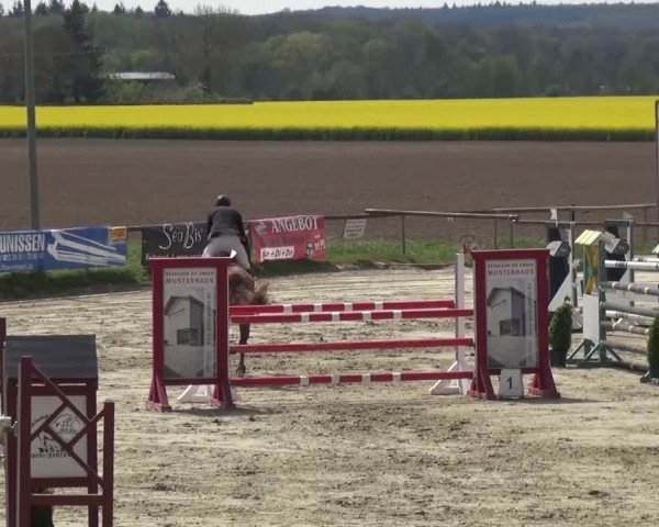 Reitturnier Xanten - Moermter 2017