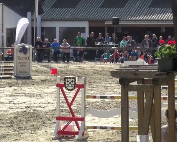 Reitturnier Xanten - Moermter 2017