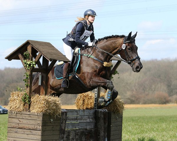 horse Farinelli (Westphalian, 2001, from Florestan I)
