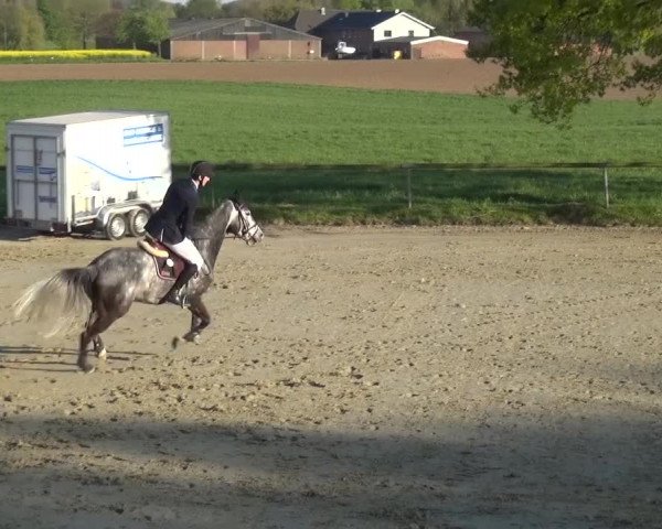 Reitturnier Xanten - Moermter 2017