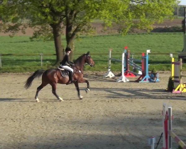 Reitturnier Xanten - Moermter 2017