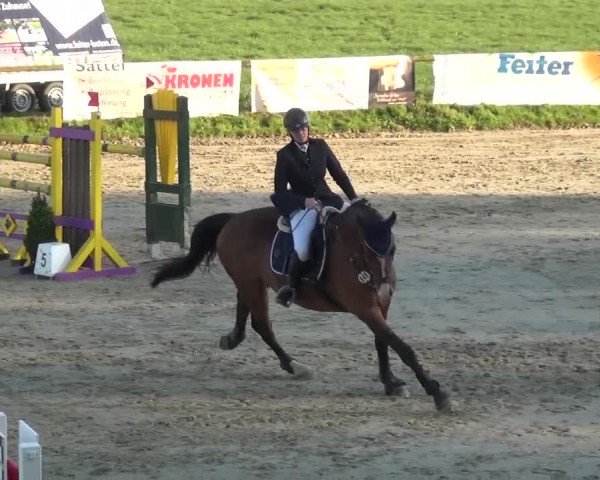 Reitturnier Xanten - Moermter 2017