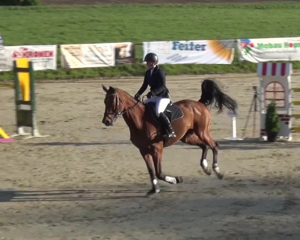 Reitturnier Xanten - Moermter 2017